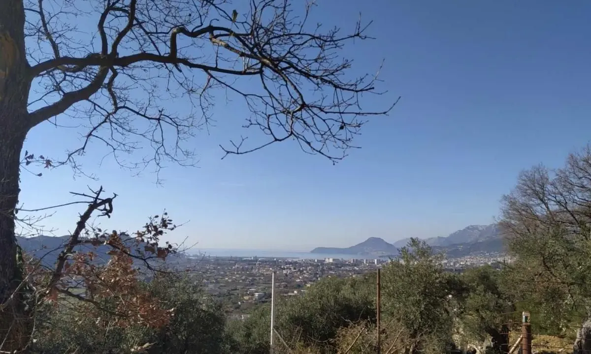 Prodaja, plac, 9800m², Tomba, Bar