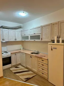 Rent, one bedroom apartment, 50m², Dalmatinska ulica, Podgorica - image 8