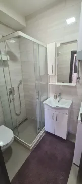 Savremeno opremljeno kupatilo sa tuš kabinom i umivaonikom. - image 4