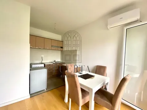 Izdavanje, garsonjera, 33m², Centar, Podgorica - image 7