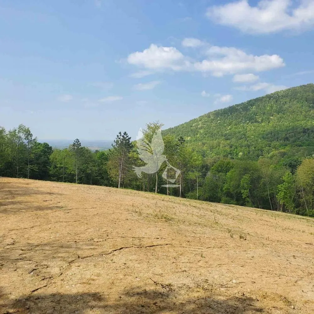 Prodaja, plac, 14000m², Kosmaj, Sopot