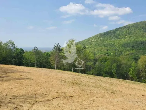 Prodaja, plac, 14000m², Kosmaj, Sopot - image 2