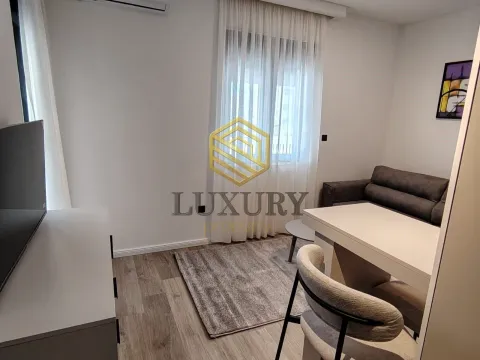 Rent, studio apartment, 21m², Zabjelo, Podgorica - image 5