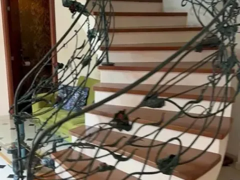 Izdavanje, kuća, 500m², Centar, Pančevo - image 10