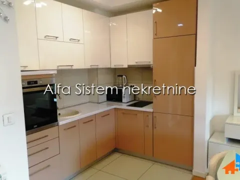 Rent, two bedroom apartment, 55m², Novi Beograd Blok 67, Novi Beograd Sve Podlokacije - image 9