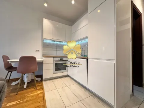 Izdavanje, garsonjera, 30m², Ljubović, Podgorica - image 5