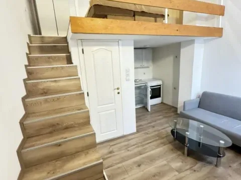 Izdavanje, garsonjera, 25m², Podbara, Novi Sad Sve Podlokacije - image 3