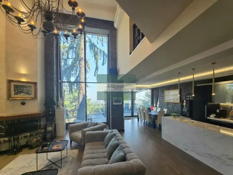 Prodaja, kuća, 400m², Sremska Kamenica, Petrovaradin - image 3