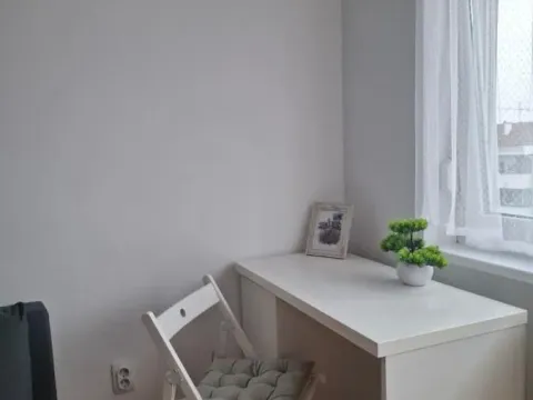 Rent, studio apartment, 21m², Podbara, Novi Sad Sve Podlokacije - image 5