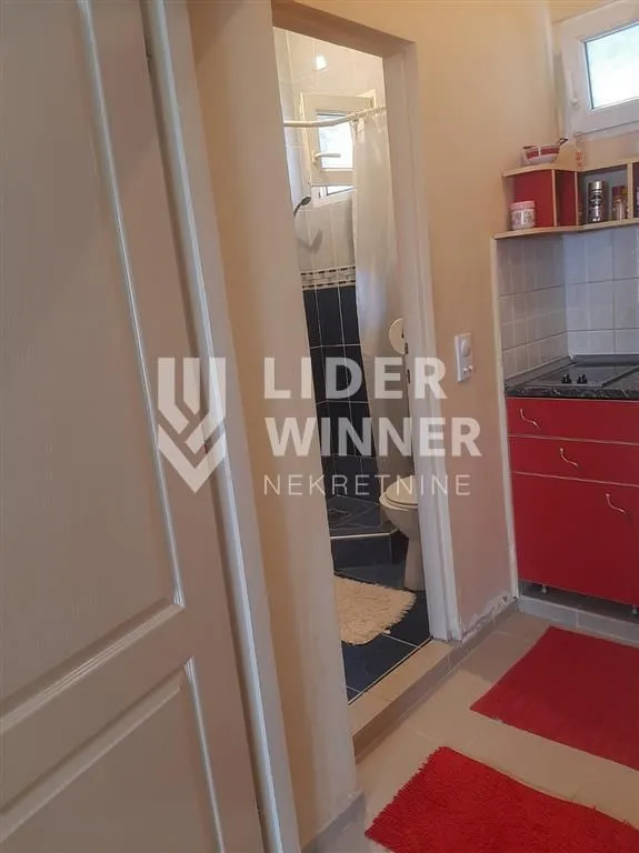 Sale, one bedroom apartment, 22m², Cvetni Trg, Vračar Sve Podlokacije