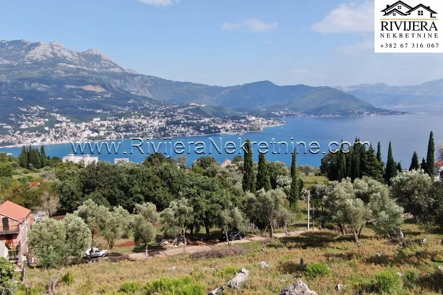 Prodaja, plac, 4323m², Žvinje, Herceg Novi