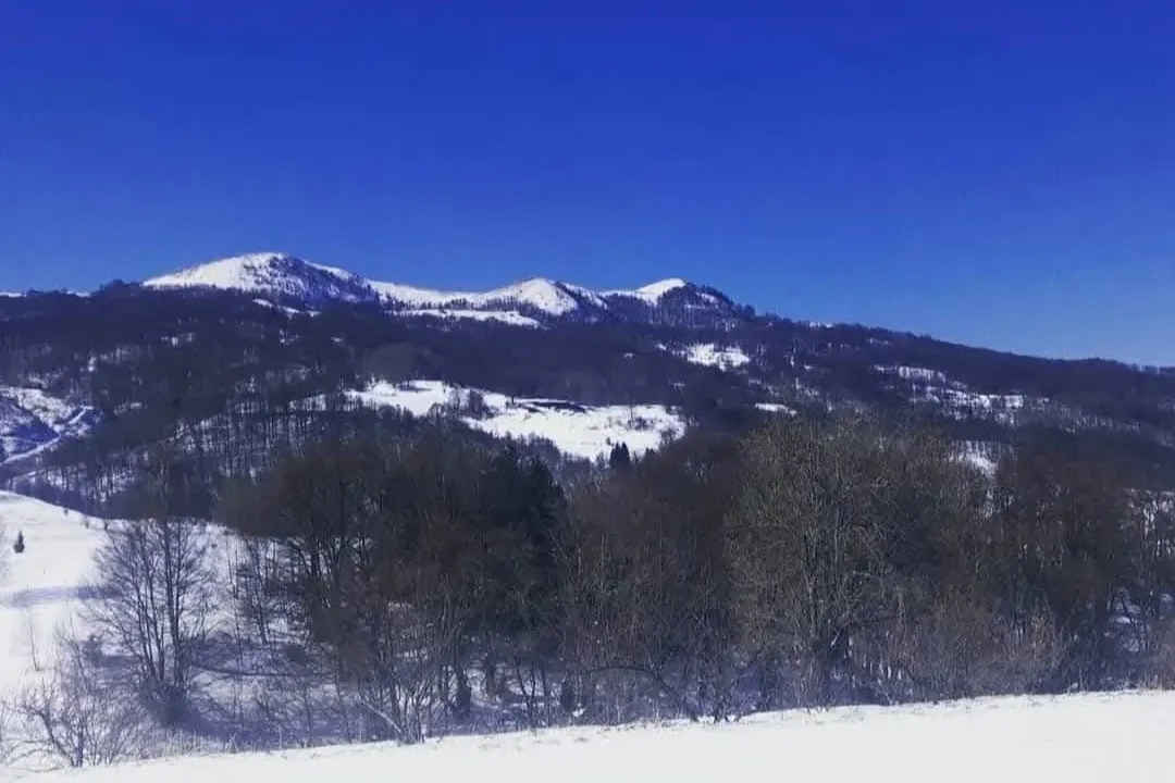 Sale, land lot, 7000m², Veruša, Podgorica