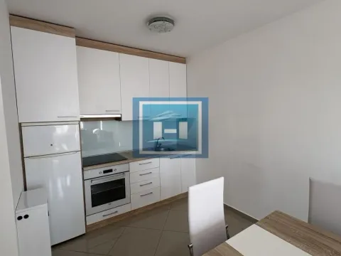 Izdavanje, jednosoban stan, 44m², Centar, Jagodina - image 4