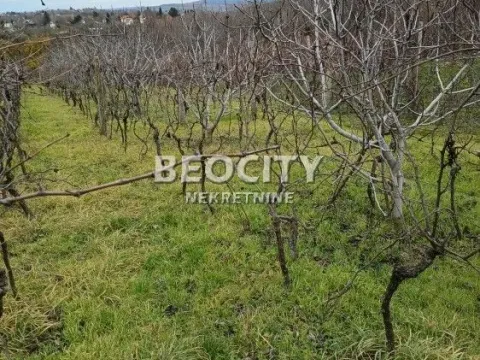 Sale, house, 120m², Sremski Karlovci, Novi Sad - image 5