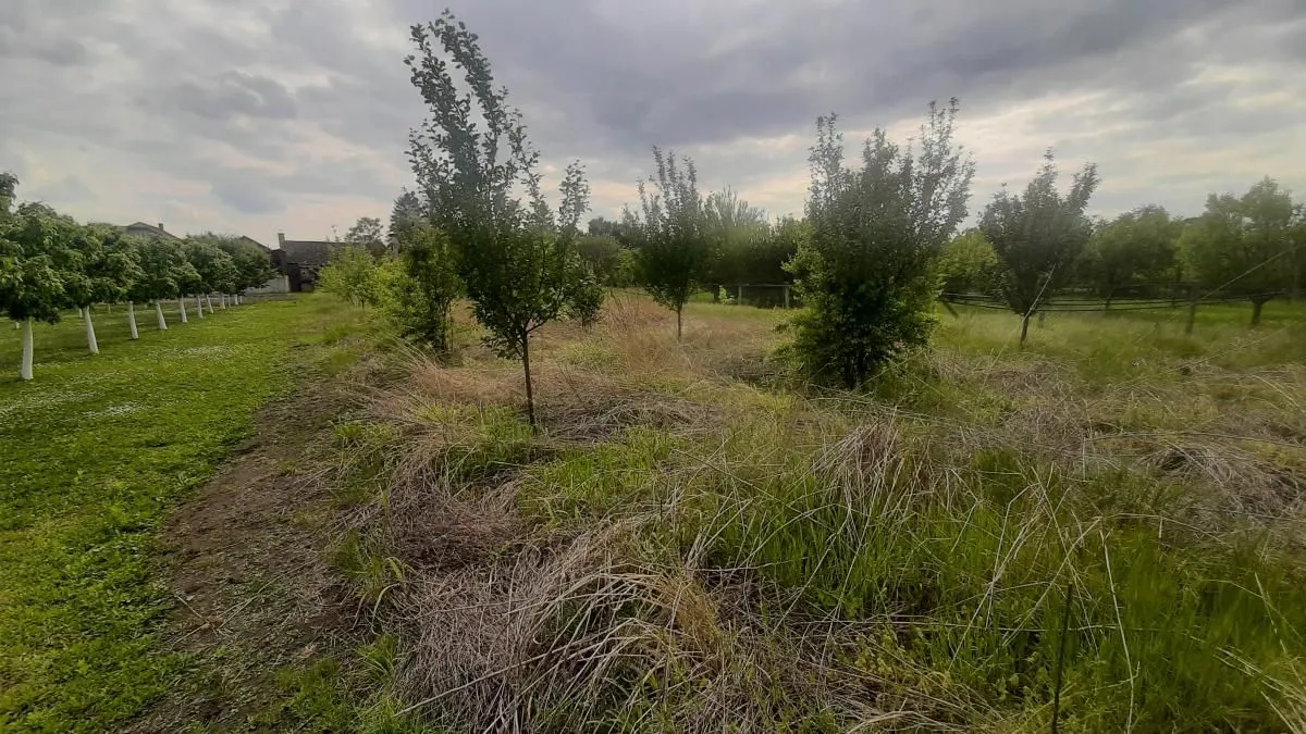 Prodaja, kuća, 205m², Vrbas, Novi Sad