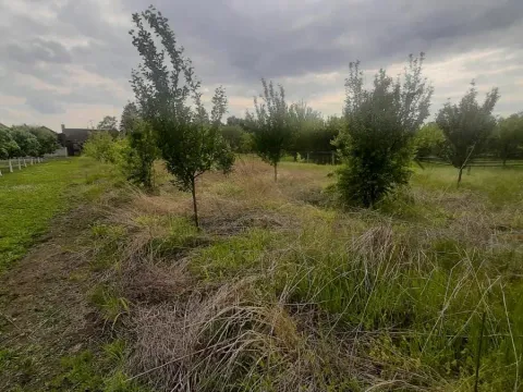 Prodaja, kuća, 205m², Vrbas, Novi Sad - image 23