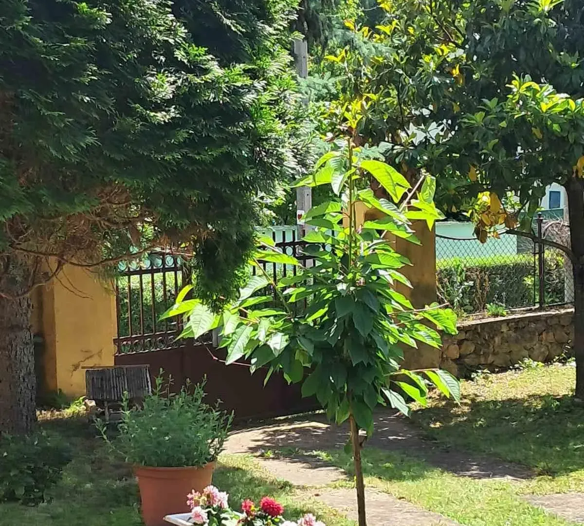Prodaja, kuća, 181m², Irig, Srbija