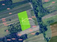 Prodaja, plac, Mladenovac, Beograd - image 3