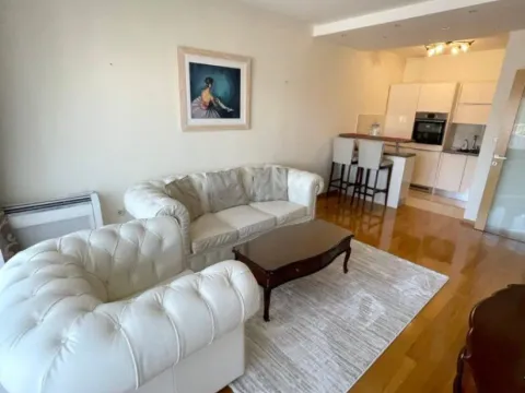 Izdavanje, jednosoban stan, 52m², Preko Morače, Podgorica - image 10