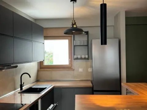 Izdavanje, jednosoban stan, 60m², Zemun Sve Podlokacije, Beograd - image 7