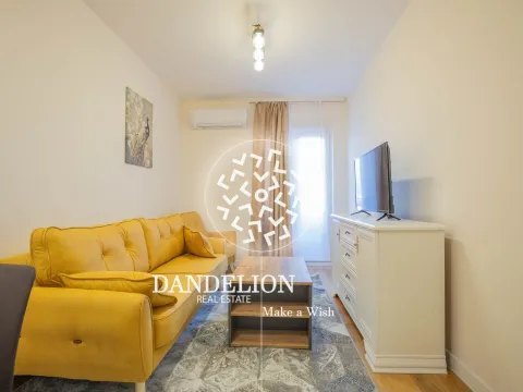 Izdavanje, jednosoban stan, 40m², Central Point, Podgorica - image 13