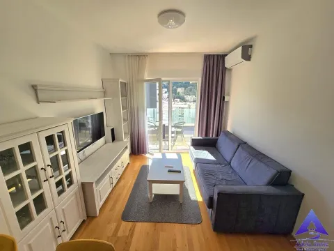 Sale, one bedroom apartment, 46m², Golubovina, Budva - image 10