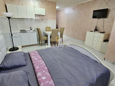 Prodaja, jednosoban stan, 29m², Stari Aerodrom, Podgorica - image 1