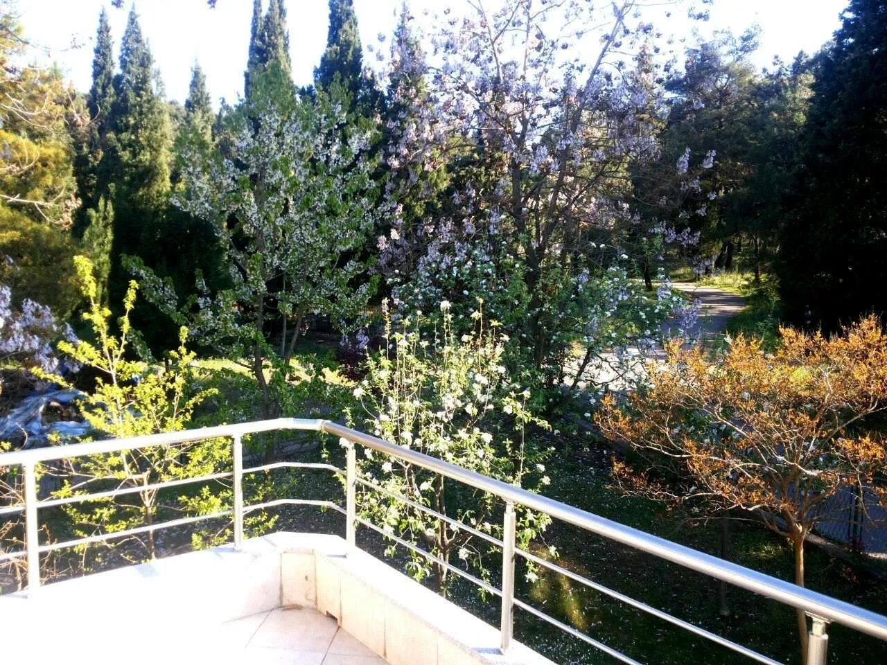 Pogled sa balkona na dvorište okruženo drvećem.