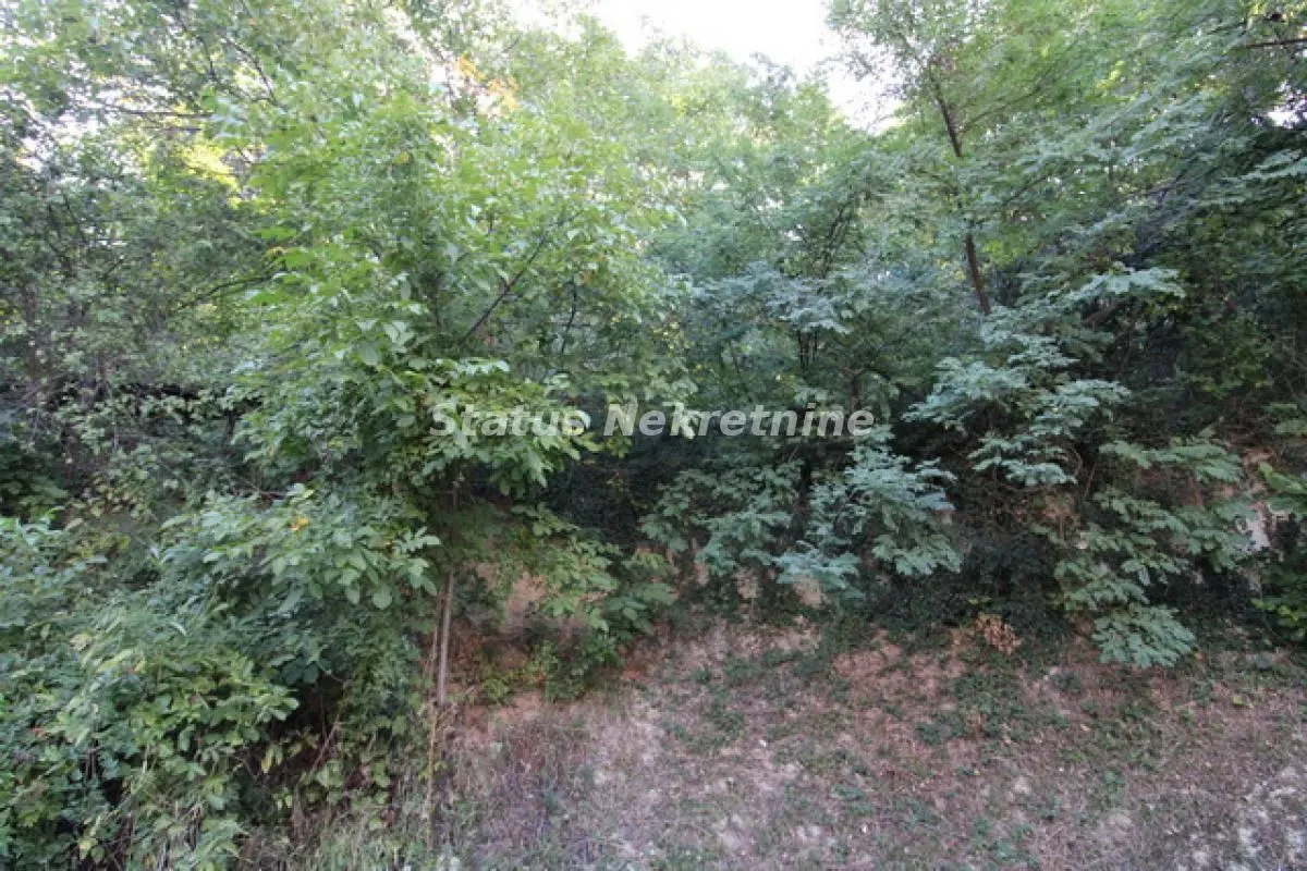 Prodaja, kuća, 198m², Sremska Kamenica, Petrovaradin