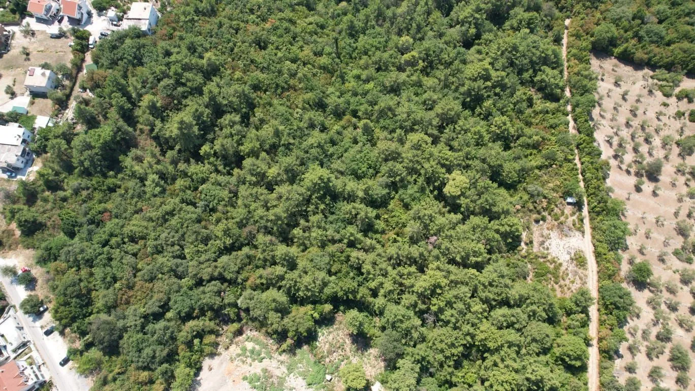 Prodaja, plac, 7700m², Kavač, Kotor