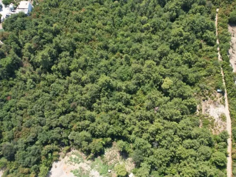 Sale, land lot, 7700m², Kavač, Kotor - image 16