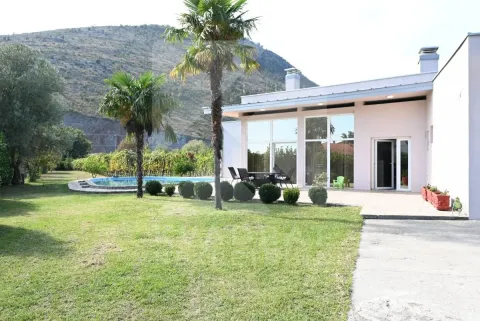 View of the house yard with a swimming pool and palm trees. - image 29