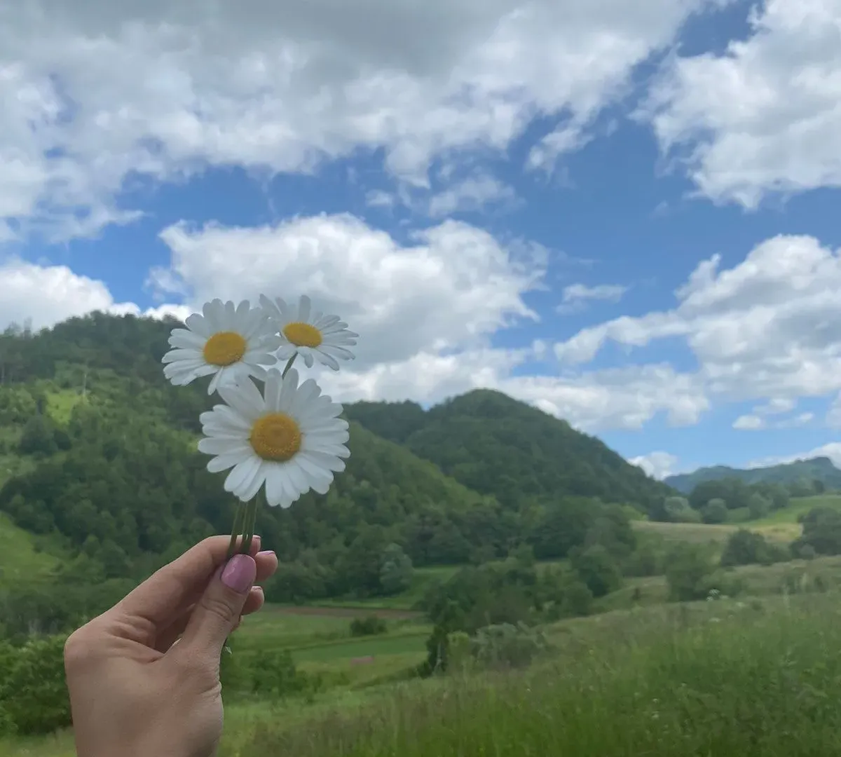 Prodaja, plac, 13266m², Podgorica, Crna Gora