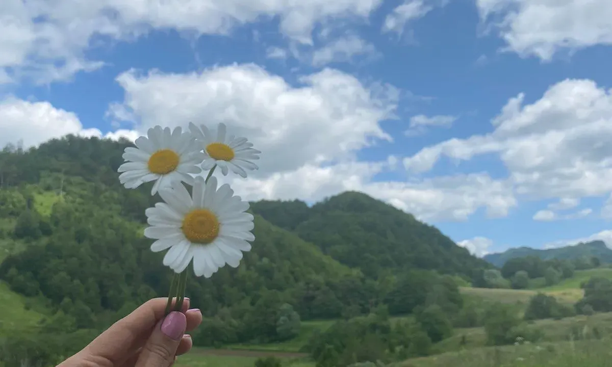 Prodaja, plac, 13266m², Podgorica, Crna Gora