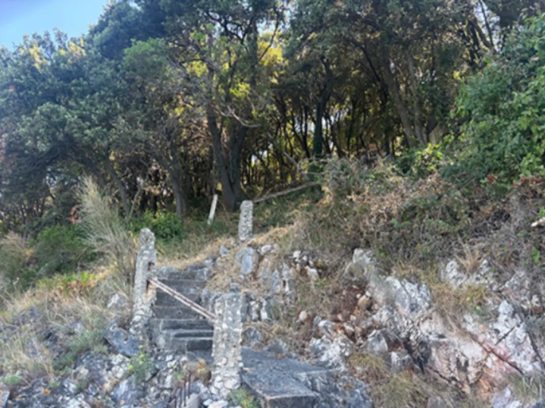 Stepenište okruženo šumom i rastinjem u sklopu placa.
