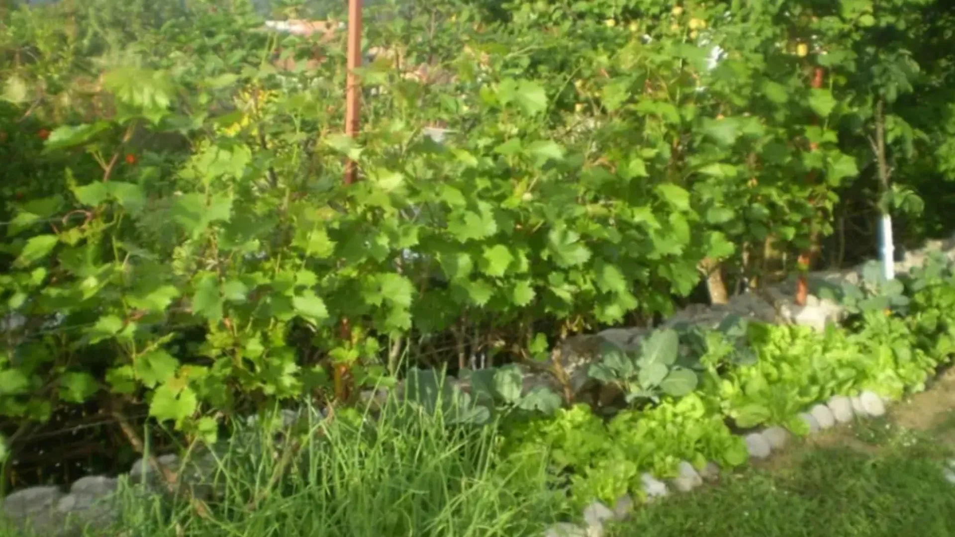 Prodaja, kuća, 100m², Kalimanj, Tivat