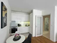 Prodaja, jednosoban stan, 49m², Central Point, Podgorica - image 3