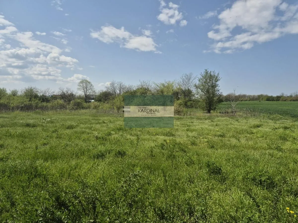 Prodaja, plac, 2273m², Vinorača, Jagodina