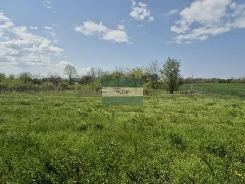 Prodaja, plac, 2273m², Vinorača, Jagodina - image 4