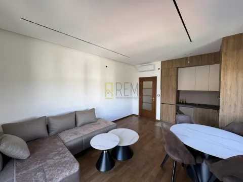 Izdavanje, jednosoban stan, 47m², Vezirov Most, Podgorica - image 4