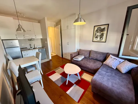 Izdavanje, garsonjera, 30m², Centar, Podgorica - image 9