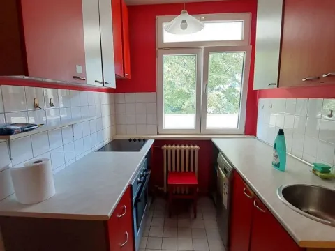 Izdavanje, trosoban stan, 62m², Lion, Zvezdara Sve Podlokacije - image 9