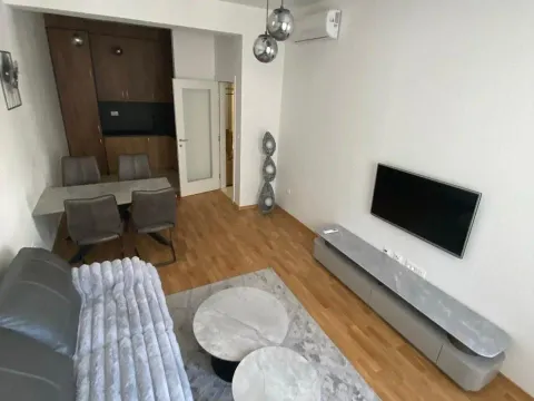 Izdavanje, jednosoban stan, 45m², Zabjelo, Podgorica - image 11