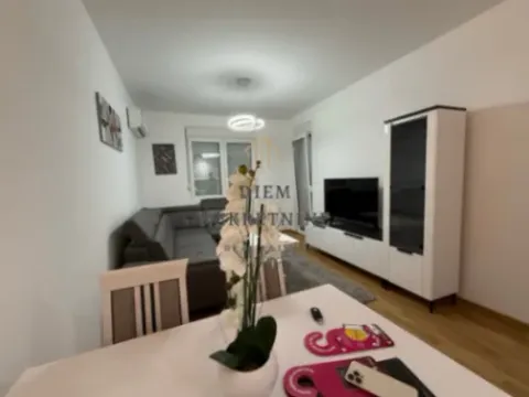 Izdavanje, jednosoban stan, 43m², Zabjelo, Podgorica - image 7