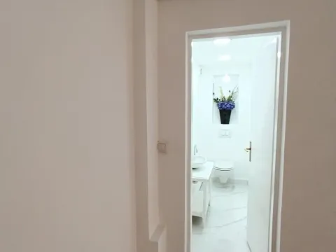 Izdavanje, poslovni prostor, 120m², Vračar Centar, Vračar Sve Podlokacije - image 4