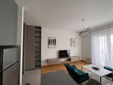 Izdavanje, garsonjera, 32m², Ljubović, Podgorica - image 4