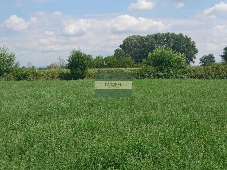 Prodaja, plac, 7500m², Novo Lanište, Jagodina