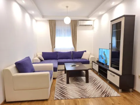 Rent, one bedroom apartment, 42m², Vezirov Most, Podgorica - image 2