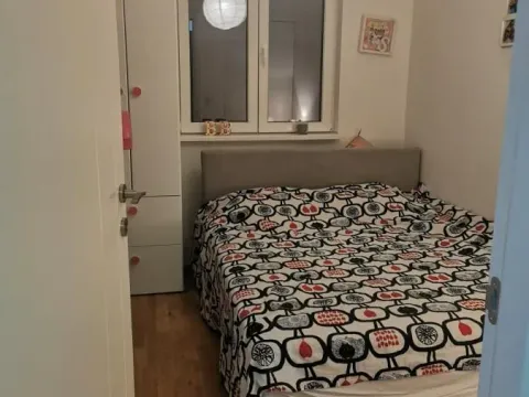 Izdavanje, jednosoban stan, 41m², Zemun Gornji Grad, Zemun Sve Podlokacije - image 4