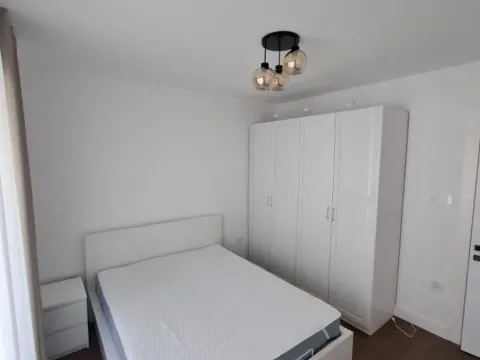 Izdavanje, dvosoban stan, 45m², Centar, Novi Sad - image 5